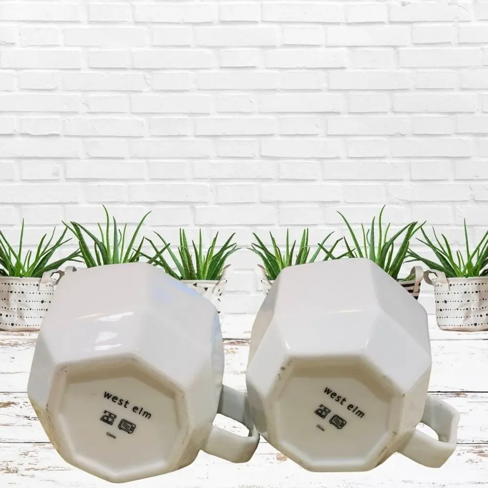 West Elm Geometric Porcelain Mugs